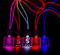 Lanyards LED radiocontrolados para zonas VIP Lanyards LED radiocontrolados para zonas VIP